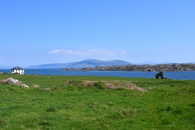 Z50_1515.JPG