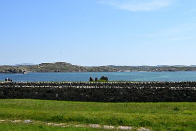Z50_1517.JPG