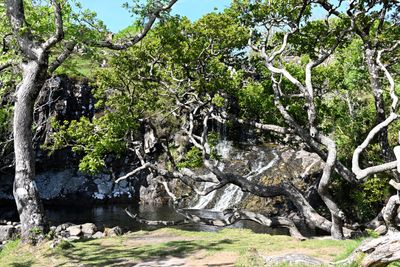 Eas Fors Waterfall
