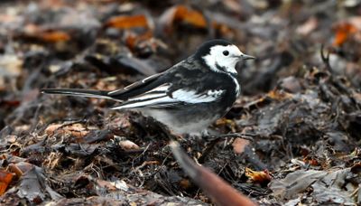 October-November 2025