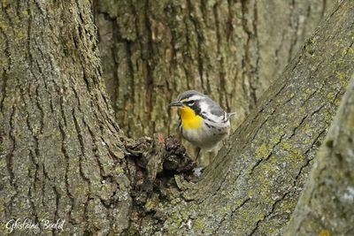 Nouveauts - News 2025