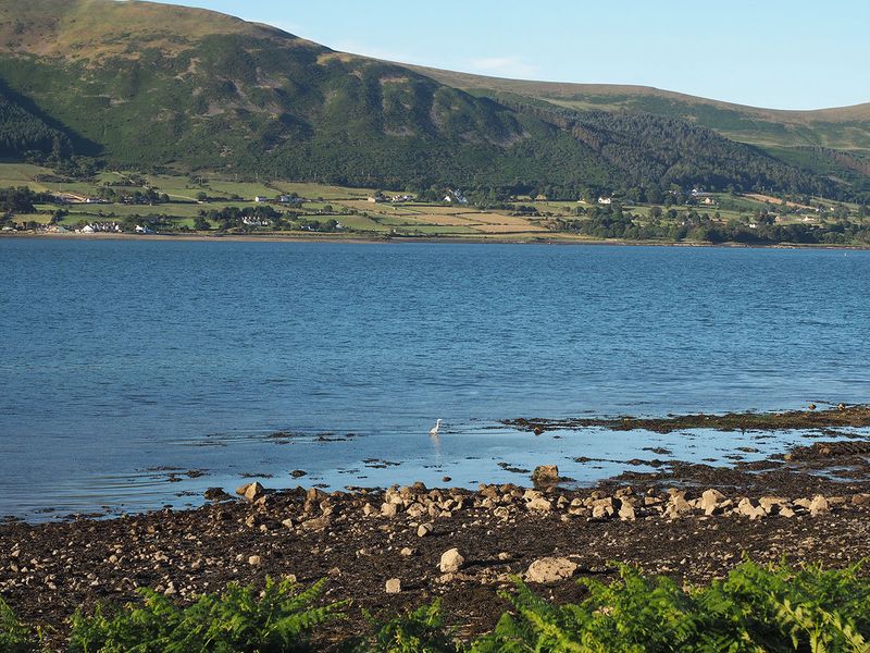 Carlingford Lough