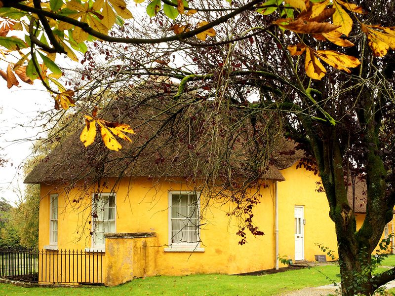 Mellow yellow