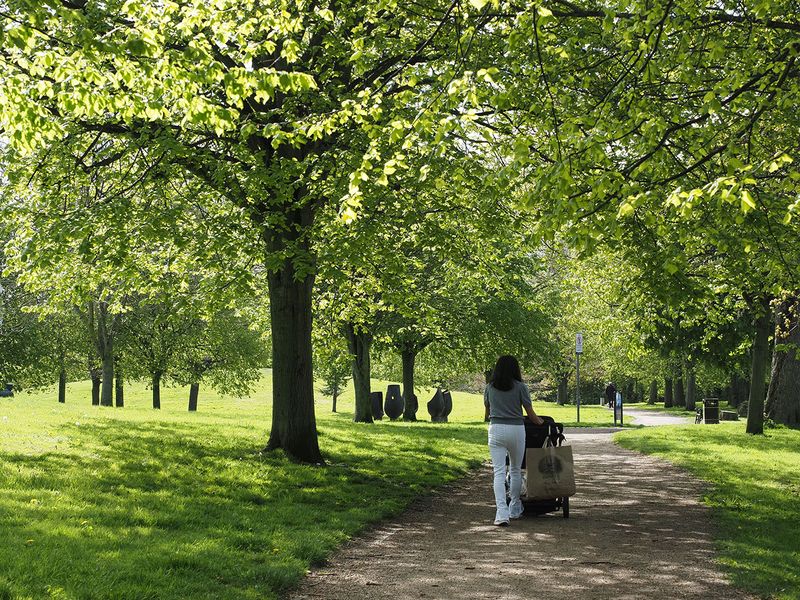 A walk in the park