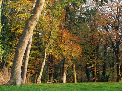 Autumn colours