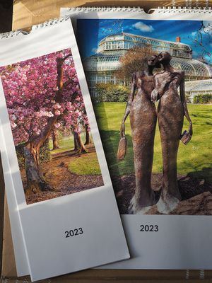 Looking forward to 2023