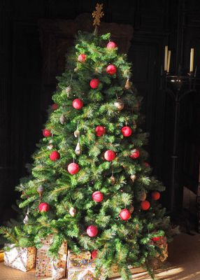 Christmas tree at Malahide Castle