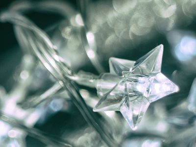 Christmas stars