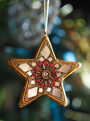 Christmas star