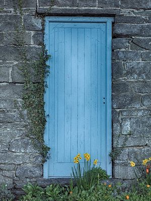 The blue door