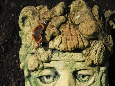 Red Admiral and a river god