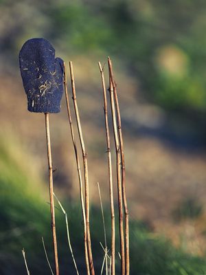 The lost mitten