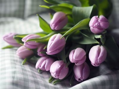International Women's Day