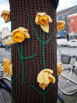 Woolie Daffs
