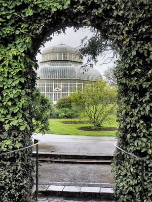 A rainy day in Dublin