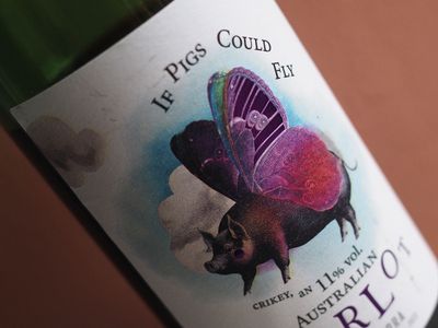 If pigs could fly
