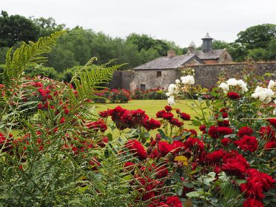 Rose Garden