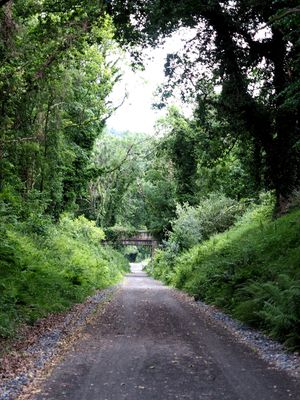 Another greenway walk