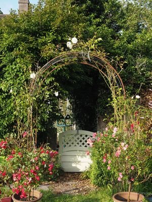 In the garden