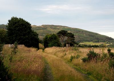 Old railway line