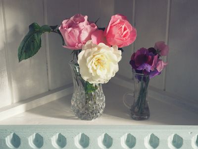 Cut flowers