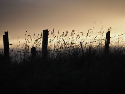 Don't fence me in