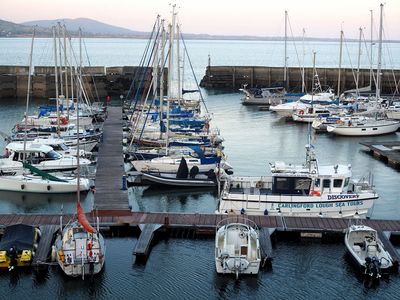 Carlingford Marina