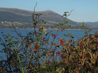 Signs of autumn