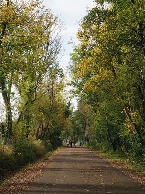 Midleton greenway