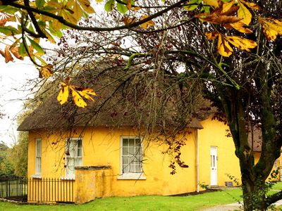 Mellow yellow