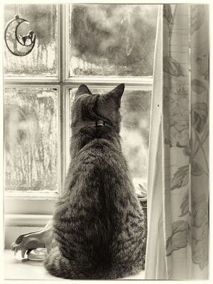 Looking out 2
