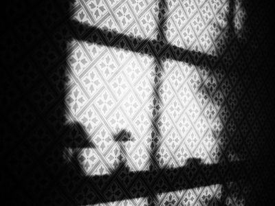 Shadowland