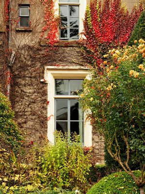 Autumn garden