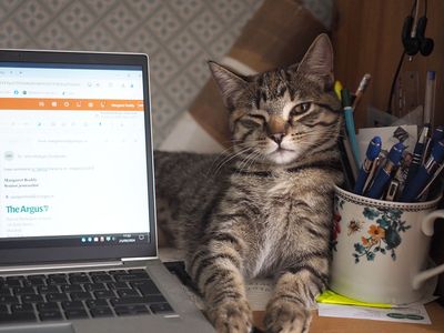 Winking at me while I work
