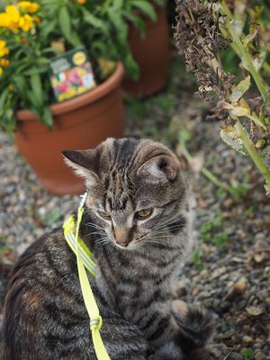 First trip outside