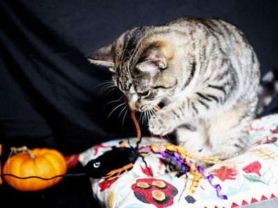 Halloween photoshoot - outtake