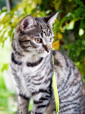 Exploring in the garden