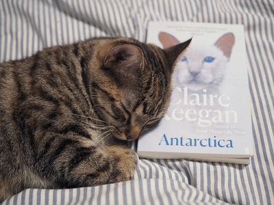 Snoozing and reading