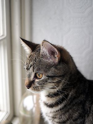 Looking out