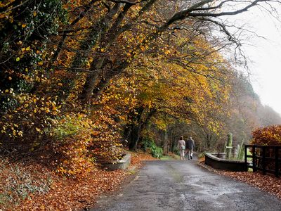 An autumn walk