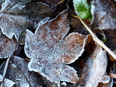 Winter's coming 