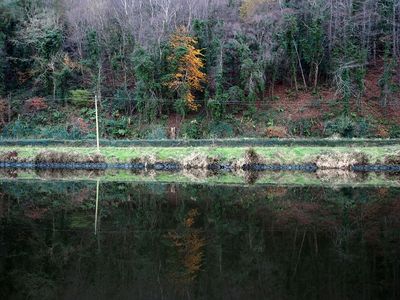 Reflections