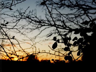 December sunset