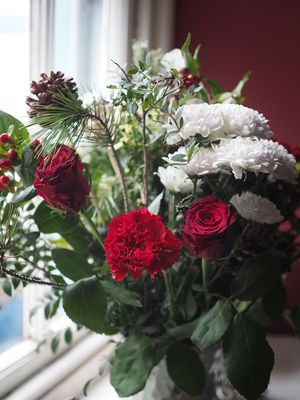 Christmas flowers