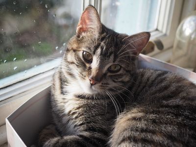 Favourite spot