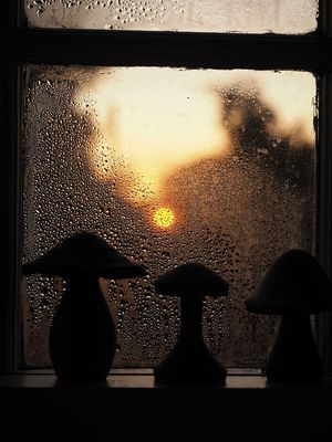 Watching the sun go down