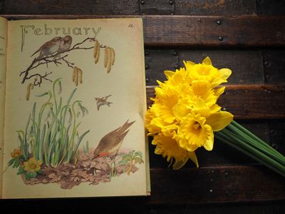 February