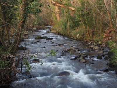 The Flurry river