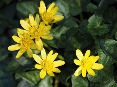 Signs of spring