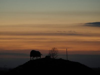 Sheep mountain